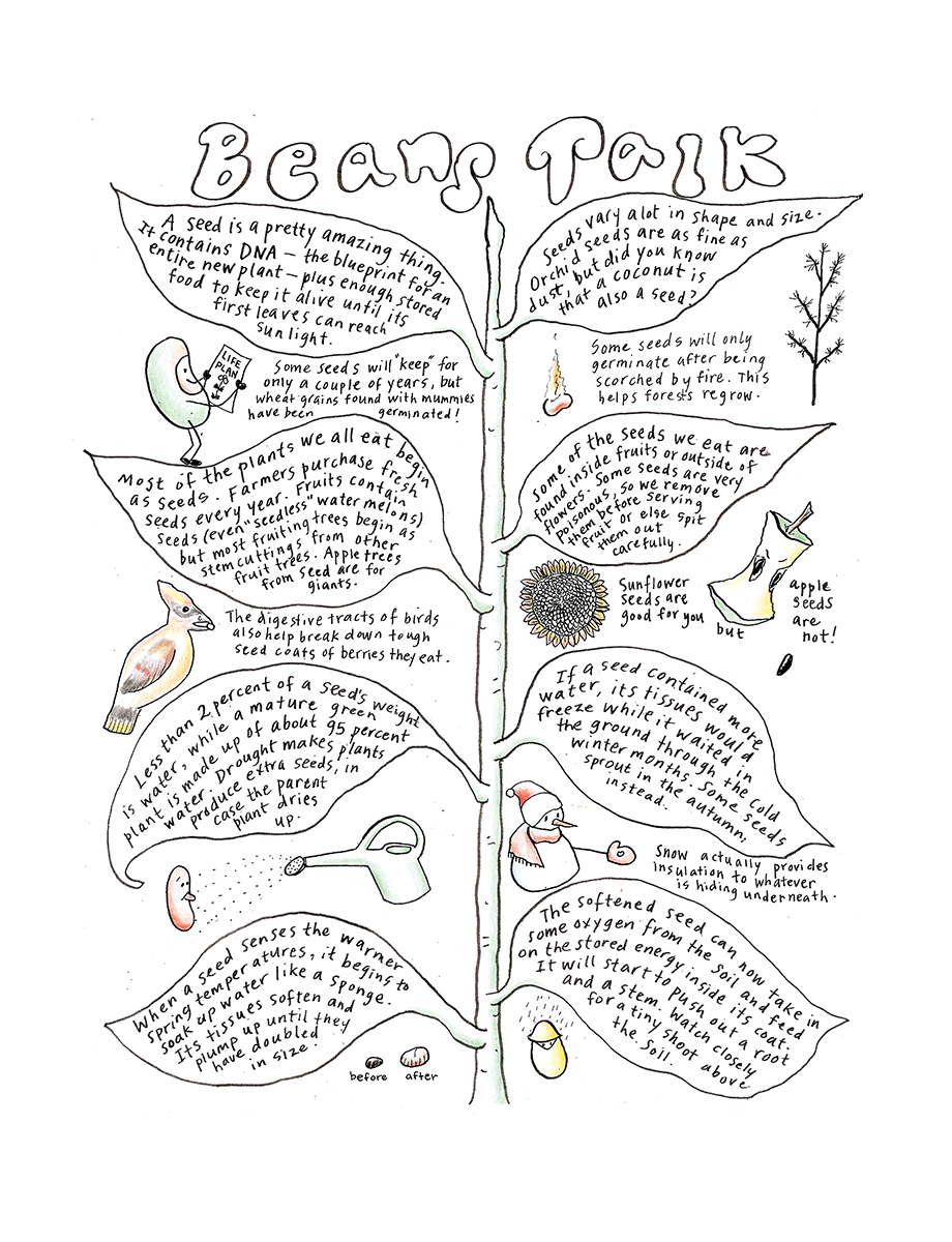 Picture A Garden - Excerpts - Ch 1 - 3 Beans Talk